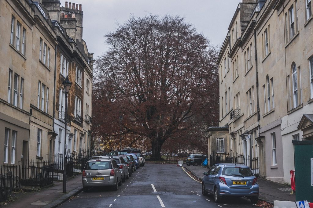 tree, hill, street